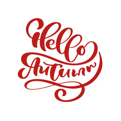 Hello Autumn lettering calligraphy text isolated on white background. Hand drawn illustration. Black and white poster design elements © timonko
