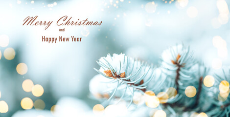 White snow lies on the branches of a Christmas tree. Photo for greeting cards with the inscription...