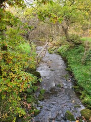 Obraz premium Stream 3