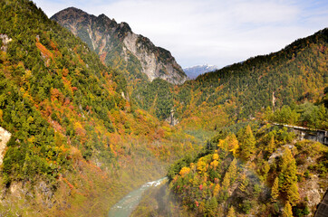 黒部湖周辺の秋