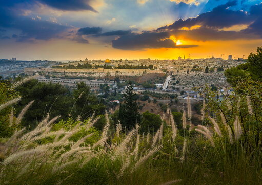 Amazing sunset over Jerusalem: view of Kidron Valley from the southern neighbourhoods to the Old City and Temple Mount; view from the Mount of Olives, with beautiful grassy foreground