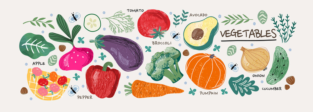185 071 BEST Vegetable Drawings IMAGES STOCK PHOTOS VECTORS Adobe 