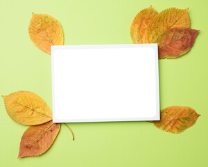 yellow cherry leaves and blank frame template on green background