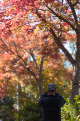 秋の公園で鮮やかな紅葉を見ているシニア男性