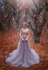 attractive girl princess in long medieval purple dress stands in fairy autumn forest. Silhouette of...