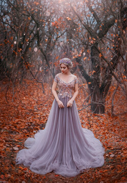 attractive girl princess in long medieval purple dress stands in fairy autumn forest. Silhouette of dark Gothic trees fallen orange foliage. Woman fashion model in image of luxury queen. Crown on head