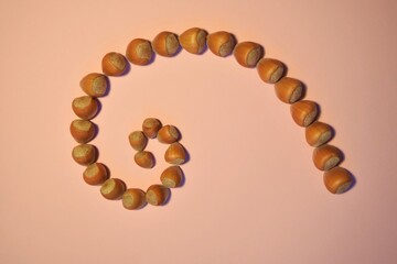 Hazelnuts arranged in the shape of a golden section on a pastel pink background. Minimal food concept.