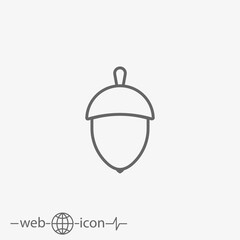 Fototapeta premium acorn