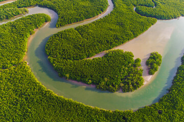 Aerial view of mangrove forest with sea coastline - obrazy, fototapety, plakaty