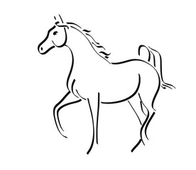 Arabian horse line logo vector illustration