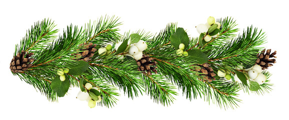 Snowberries with green ywigs of Christmass tree and cones in a line arrangement