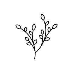 Flower line logo vector template.