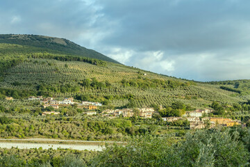 Fototapeta na wymiar s.Lazzaro village among olive groves in hilly countryside, Italy
