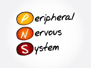 PNS - Peripheral Nervous System acronym, medical concept background