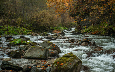 Waterfall mountain view close up. Mountain river waterfall landscape. Waterfall river scene