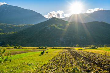 Fototapeta premium Nature, summer landscape in albanian mountains