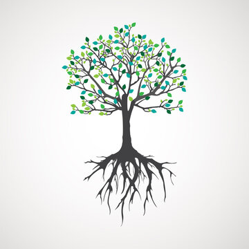 Abstract tree with roots. Vector outline illustration. Plant in Garden.