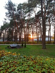 autumn in the park