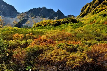 絶景紅葉　錦秋の北アルプス・涸沢への道