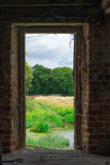 Fototapeta na wymiar A View From A Derelict Building Out Of A Door Frame Onto A Pand And Grass
