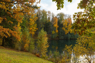 Fall time bright colors around the lake in the forest. Nelijarve, Estonia.