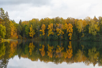 Fall time bright colors around the lake in the forest. Nelijarve, Estonia.