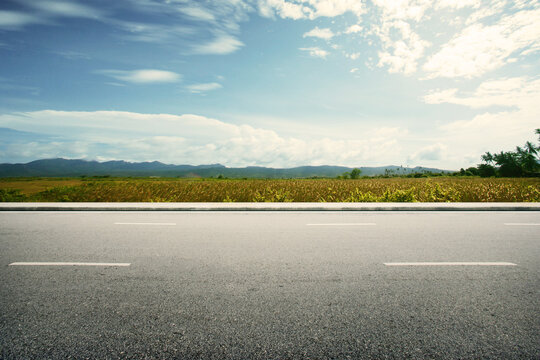 Road Side Paddy Field View Background