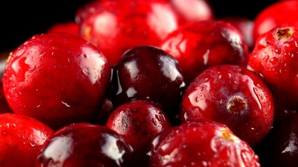 Macro view of fresh ripe cranberries.