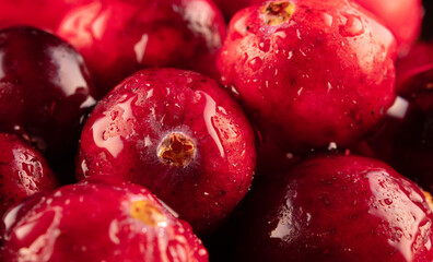 Macro view of fresh ripe cranberries.