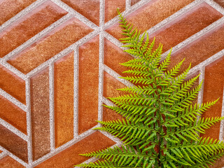 Green fern leaves on the ceramic wall. Natural house concept. Leaves texture on the brick. 