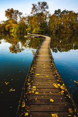 Beautiful Autumn Colours During Sunset