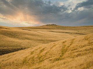 Fototapeta na wymiar Golden pasture or grassland at sunset or sunrise in the Carpathian Mountains, Romania.