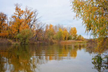 Fototapeta na wymiar The beautiful bank of the Dnipro river with yellow, green, red trees, bushes with a pleasant autumn nature of the city of Kamianske, Ukraine.