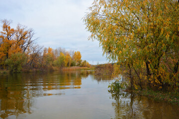 The beautiful bank of the Dnipro river with yellow, green, red trees, bushes with a pleasant autumn nature of the city of Kamianske, Ukraine.