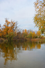 Fototapeta na wymiar The beautiful bank of the Dnipro river with yellow, green, red trees, bushes with a pleasant autumn nature of the city of Kamianske, Ukraine.