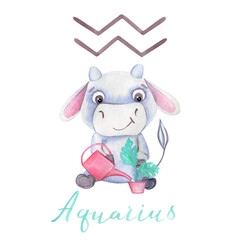 Watercolor illustration Aquarius Bull Symbol of the year 2021 Zodiac Funny and cute Cow New Year illustration