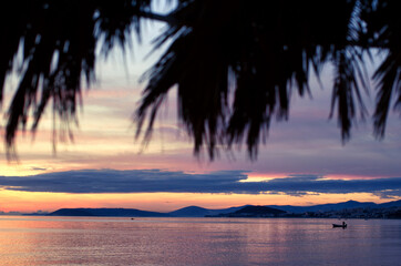 beautiful sunset on the palm beach. Summer holiday