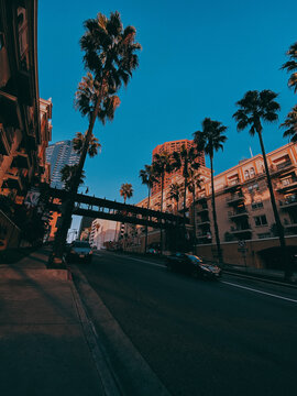 Wonderful Los Angeles in the sunset