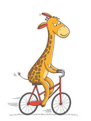Giraffe rides a bicycle. Hand drawn vector illustration with separate layers.