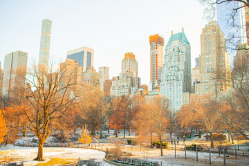 Beautiful Central Park in New York City
