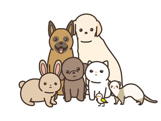 動物の集合　カメラ目線　白背景