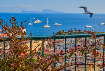 View of the Naples Bay from the roof. Red roofs of Napoli. Gulls fly over Naples, Turkey. Capri island on background