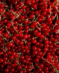 red currant background
