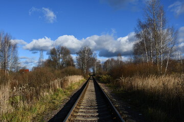 Fototapeta premium A narrow-gauge railway close-up extending into the distance. Bare trees and bushes along the railway.