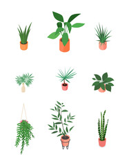 Set of isometric potted plant. Vector collection. Illustration in flat design.