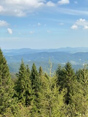 widok z Jaworzyny Krynickiej na góry Beskid Sądecki