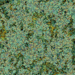 Green red orange circular green moss on stone