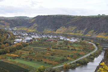 Herbstfarbenes unteres Msoeltal, Terassenmosel bei Dieblich