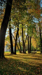 autumn in the park