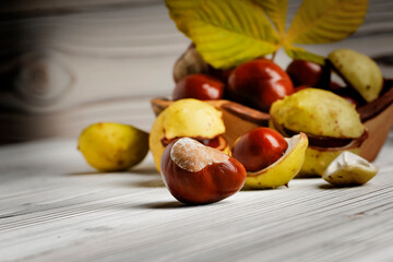 Chestnut fruit in oldwooden bowl on a white background. Detail on the devilfruit.